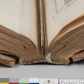 detail of spine action before treatment